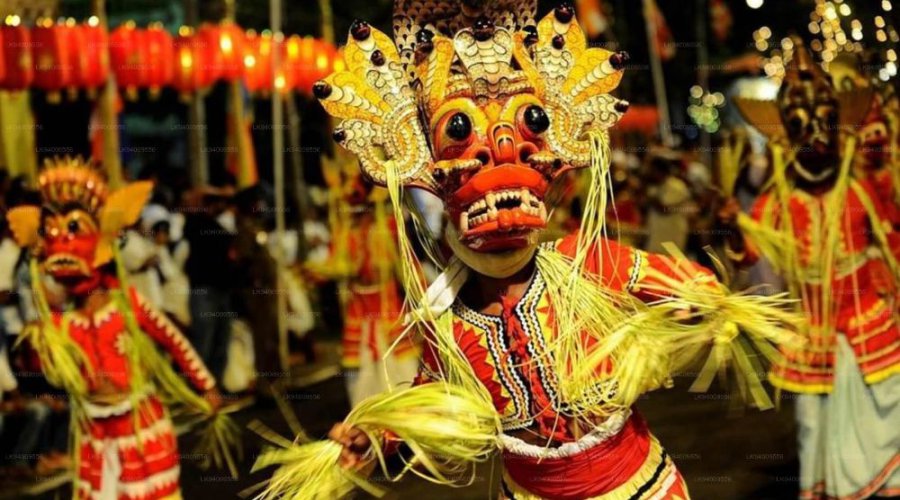 The Best Time to Visit Sri Lanka