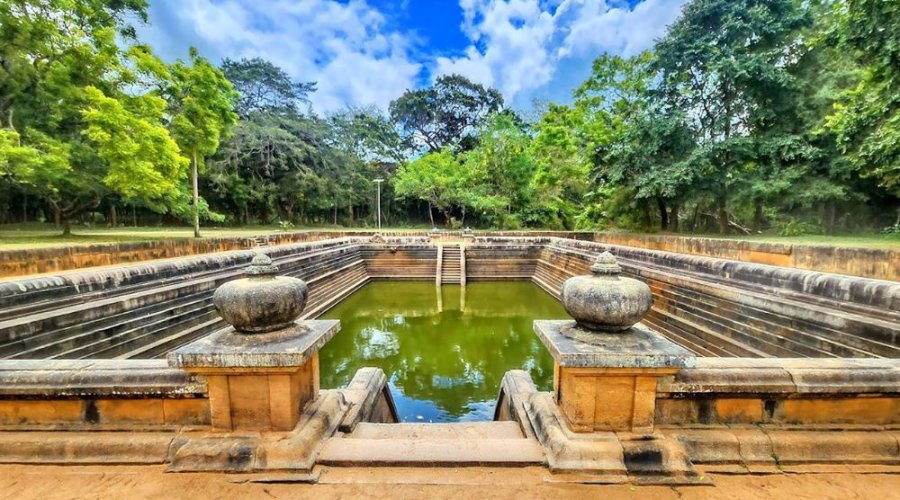 Packing for Paradise