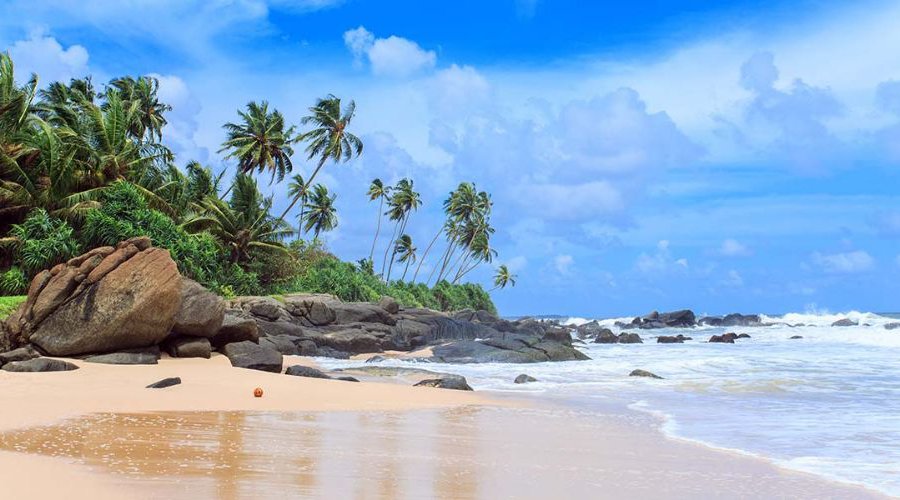 The Best Time to Visit Sri Lanka
