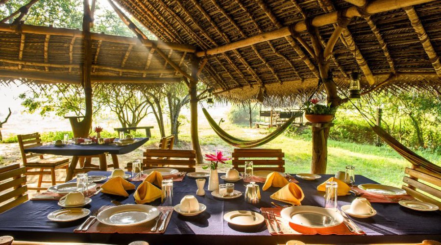 Find Unique Sri Lankan Experiences