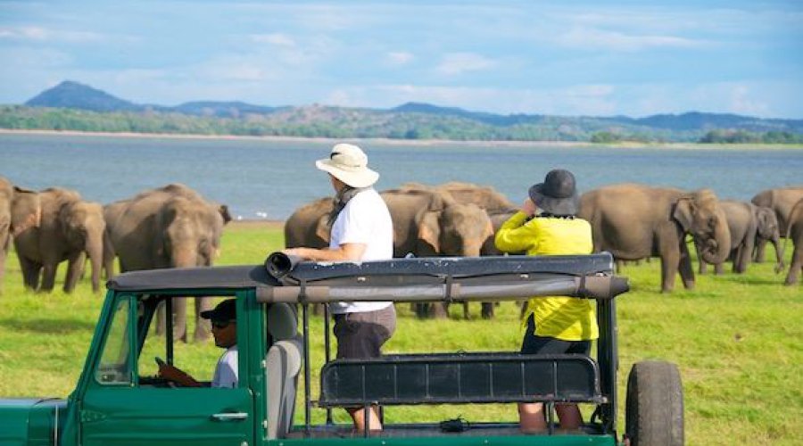 The Cultural Triangle