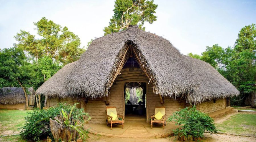 Find Unique Sri Lankan Experiences