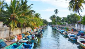 Tour Photo: The Ultimate Sri Lankan Adventure