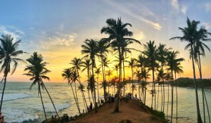 Tour Photo: The Ultimate Sri Lankan Adventure