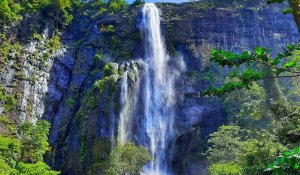 Tour Photo: Wildlife &amp; Eco-Discovery