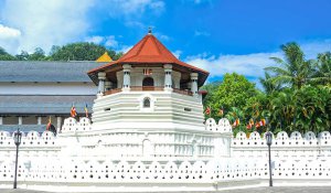 Tour Photo: Cultural Heart &amp; Misty Hills