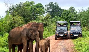 Tour Photo: Thrills of Hills and Rivers