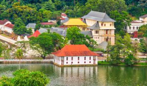 Tour Photo: The Ultimate Sri Lankan Adventure