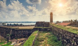 Tour Photo: Coastal Wonders &amp; Wildlife Escapades