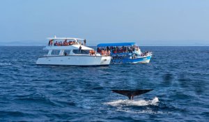 Tour Photo: Wildlife &amp; Eco-Discovery