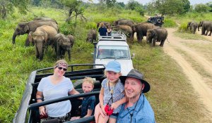 Tour Photo: Cultural Triangle Tour (3 Nights / 4 Days)