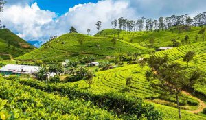 Tour Photo: Beach &amp; Hill Harmony