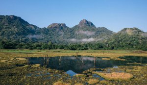 Tour Photo: Pristine Shores &amp; Serene Adventures