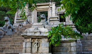 Tour Photo: Sacred Temples &amp; Wild Safari