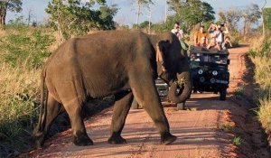 Tour Photo: Majestic Peaks &amp; Waterfall Escapes