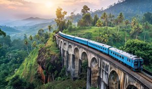 Tour Photo: Serenity in the Misty Hills