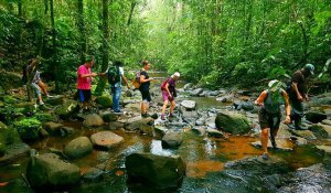 Tour Photo: Wildlife &amp; Eco-Discovery