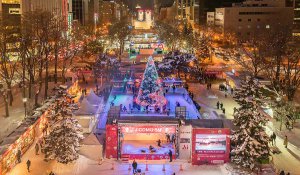 Tour Photo: Hokkaido Snow Festival &amp; Skiing Tour (7 days)