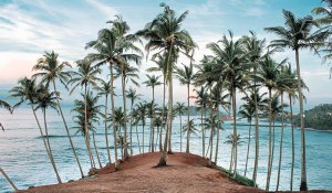 Tour Photo: Coastal Wonders &amp; Wildlife Escapades