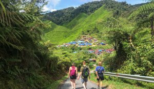 Tour Photo: Cameron Highlands Nature Tour