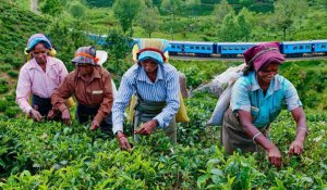 Tour Photo:  Leisure &amp; Wellness Retreat