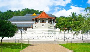 Tour Photo: Serenity in the Misty Hills