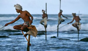 Tour Photo: Historic Coasts &amp; Wildlife Wonders