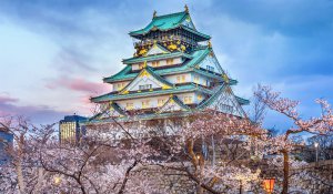 Tour Photo: Tokyo, Kyoto &amp; Osaka Highlights Tour (7 days)