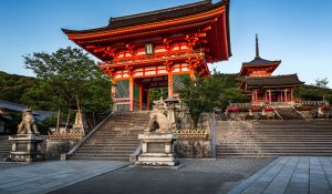 Tour Photo: Tokyo, Kyoto &amp; Osaka Highlights Tour (7 days)